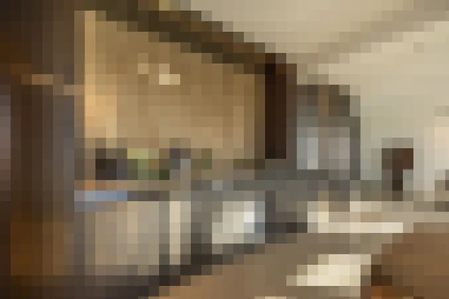 Papaverhof 70 Amsterdam thumbnail 10