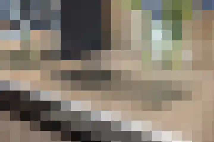Papaverhof 70 Amsterdam thumbnail 15