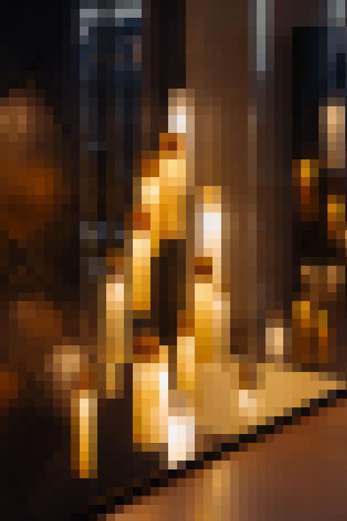 Papaverhof 70 Amsterdam thumbnail 15