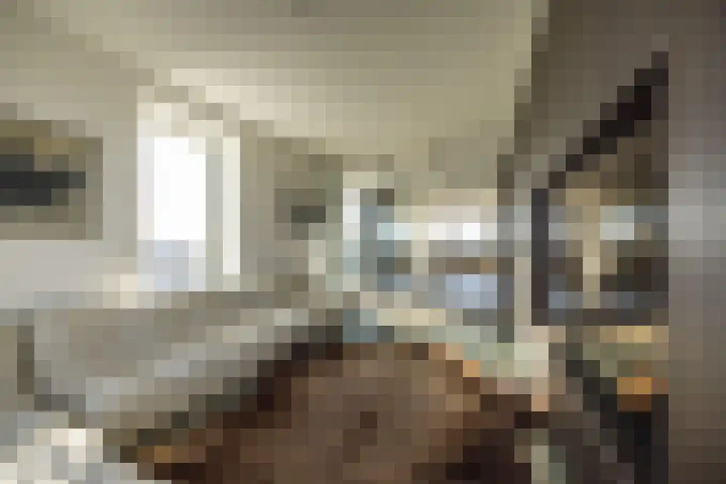 Papaverhof 70 Amsterdam thumbnail 19