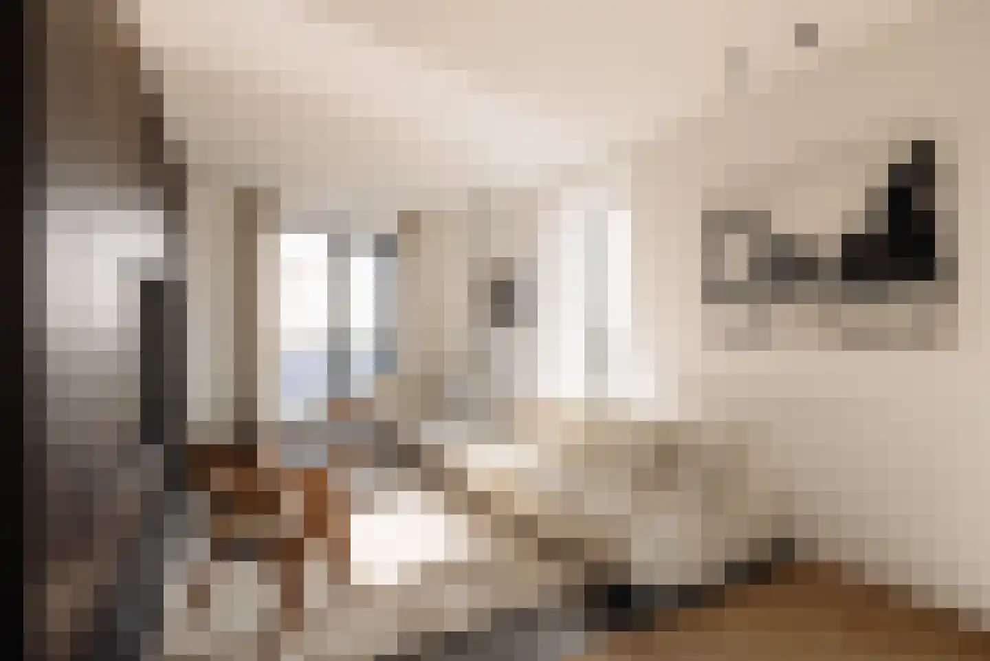 Papaverhof 70 Amsterdam thumbnail 19