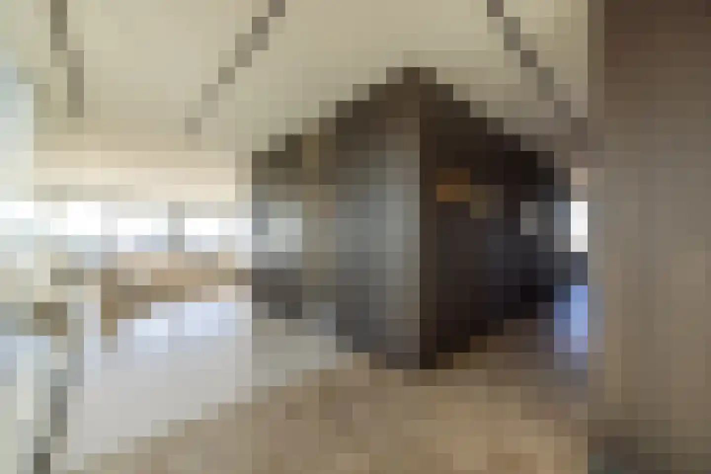 Papaverhof 70 Amsterdam thumbnail 21