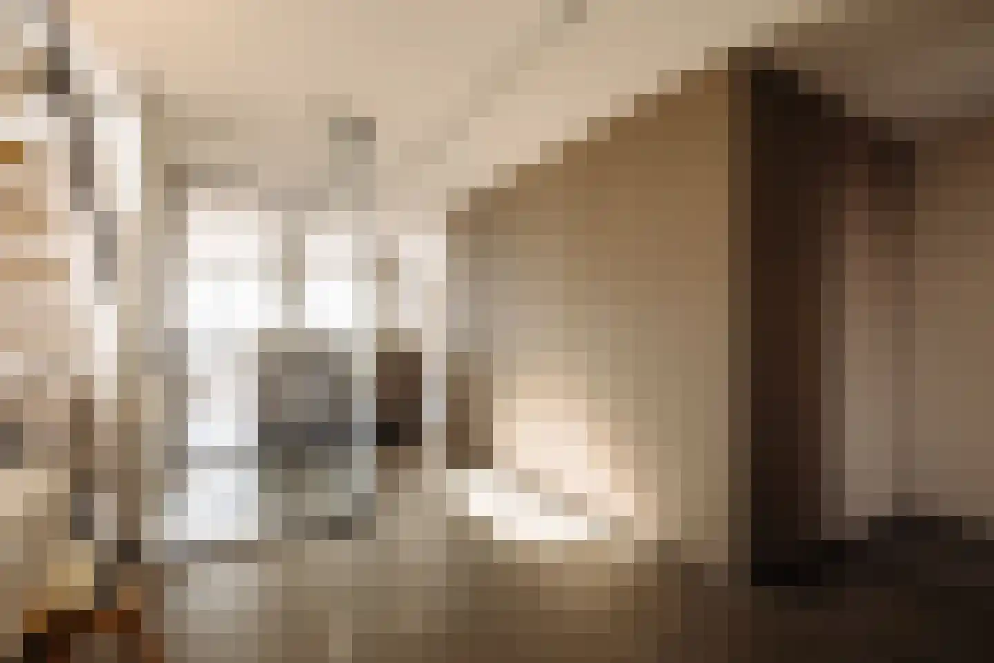 Papaverhof 70 Amsterdam thumbnail 32