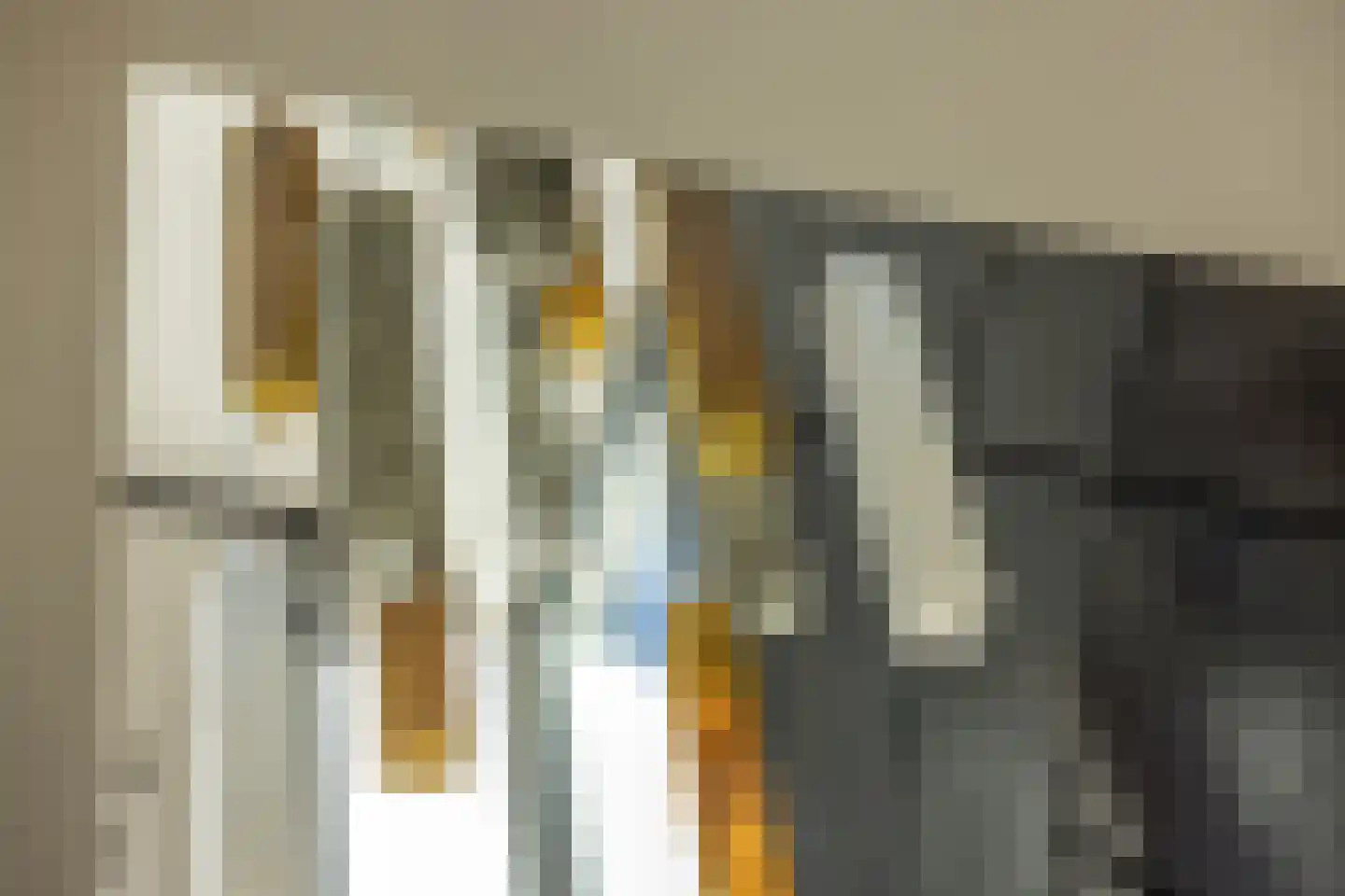 Papaverhof 70 Amsterdam thumbnail 33