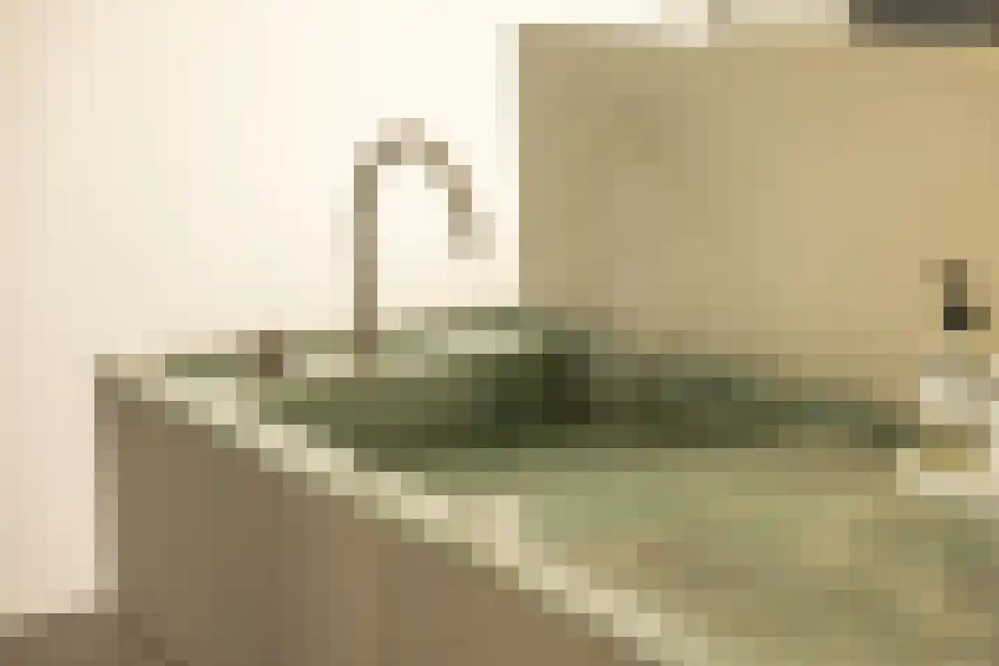 Papaverhof 70 Amsterdam thumbnail 36