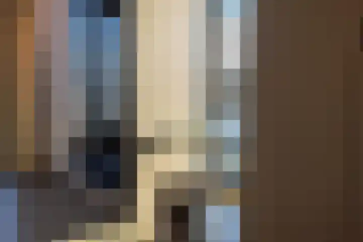 Papaverhof 70 Amsterdam thumbnail 43