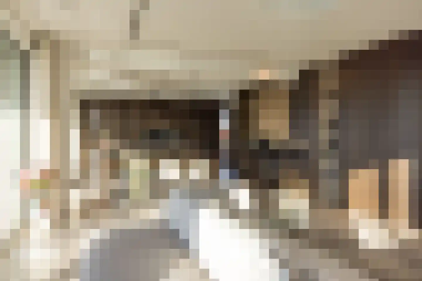 Papaverhof 70 Amsterdam thumbnail 5