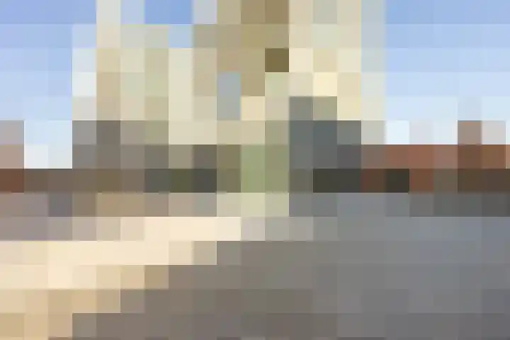 Papaverhof 70 Amsterdam thumbnail 53