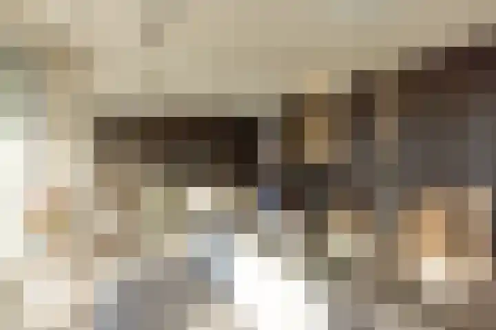 Papaverhof 70 Amsterdam thumbnail 6