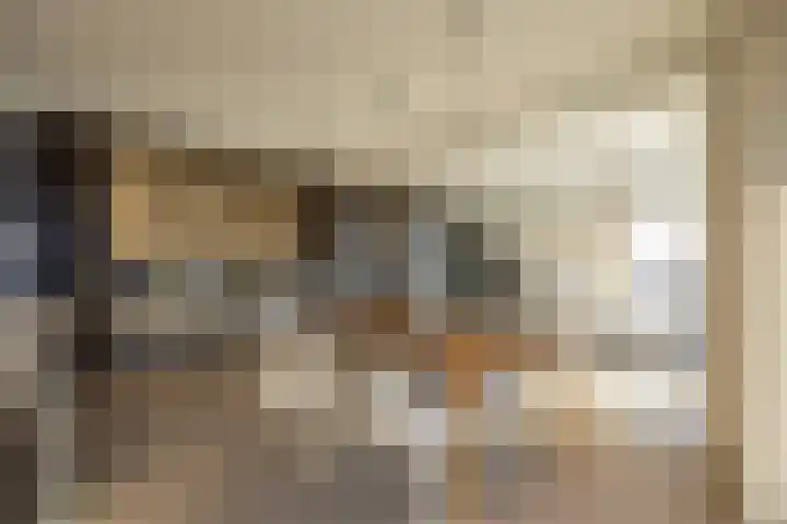 Papaverhof 70 Amsterdam thumbnail 9