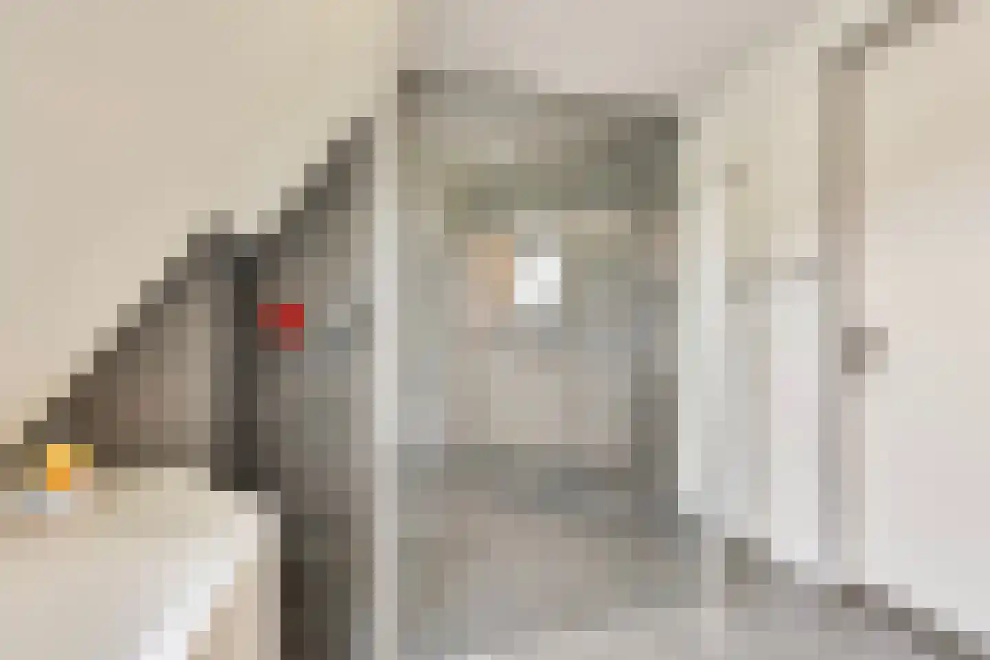 Papaverpad 3 Spijkenisse thumbnail 26