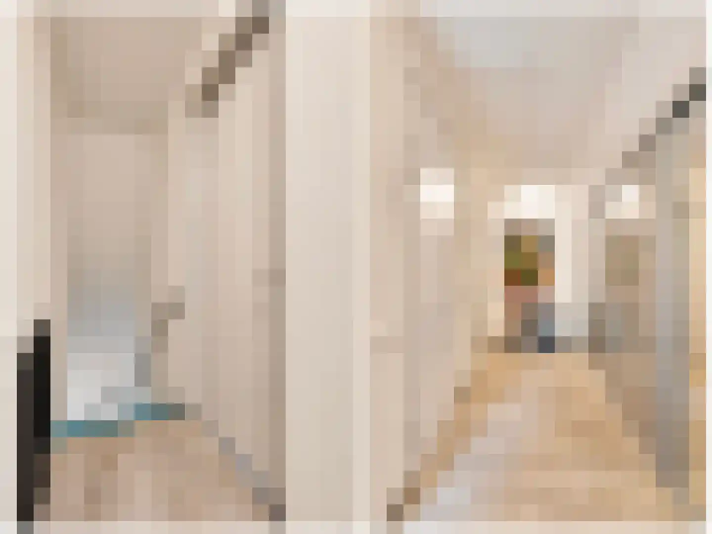 Papaverpad 3 Spijkenisse thumbnail 28
