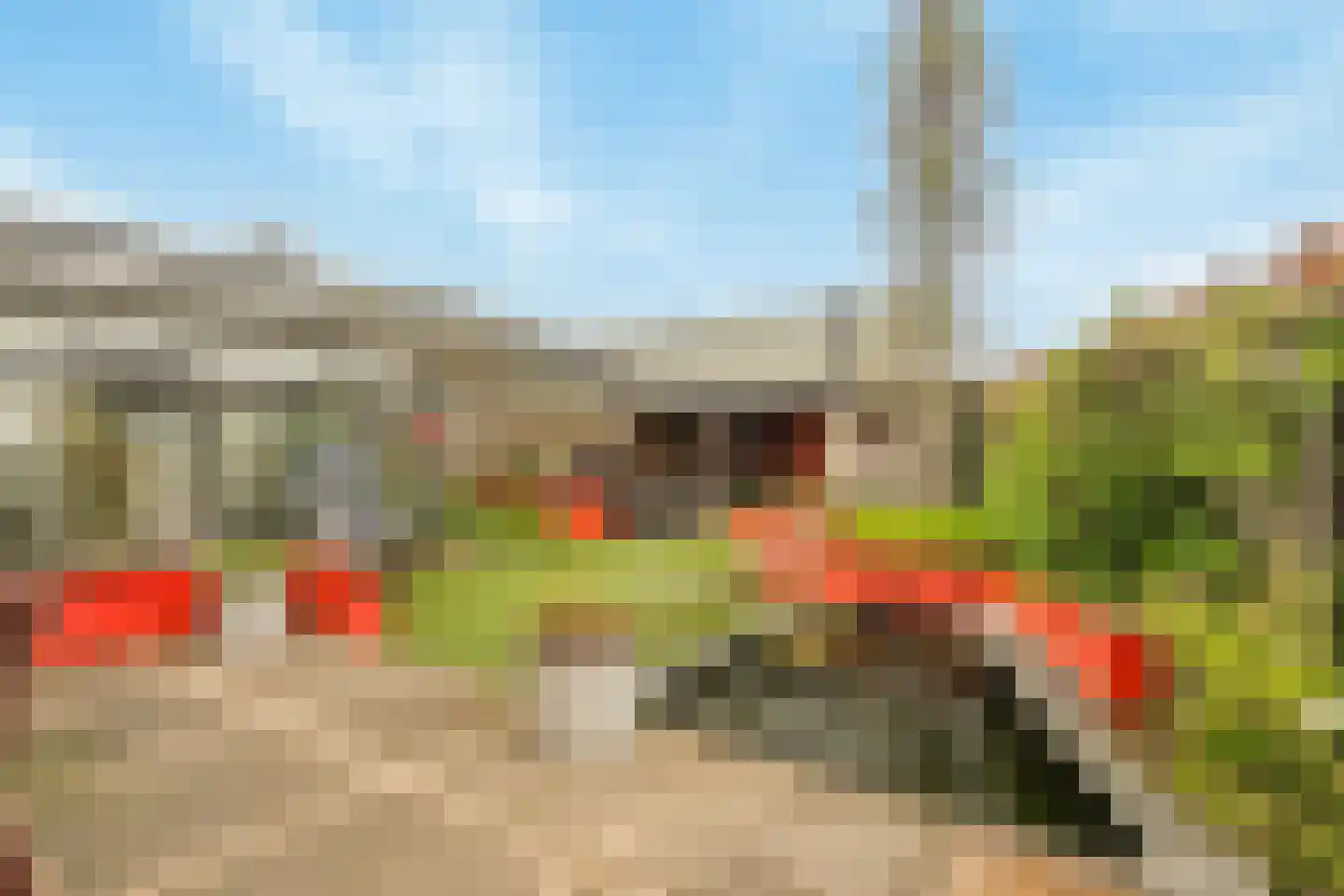 Papaverpad 3 Spijkenisse thumbnail 32