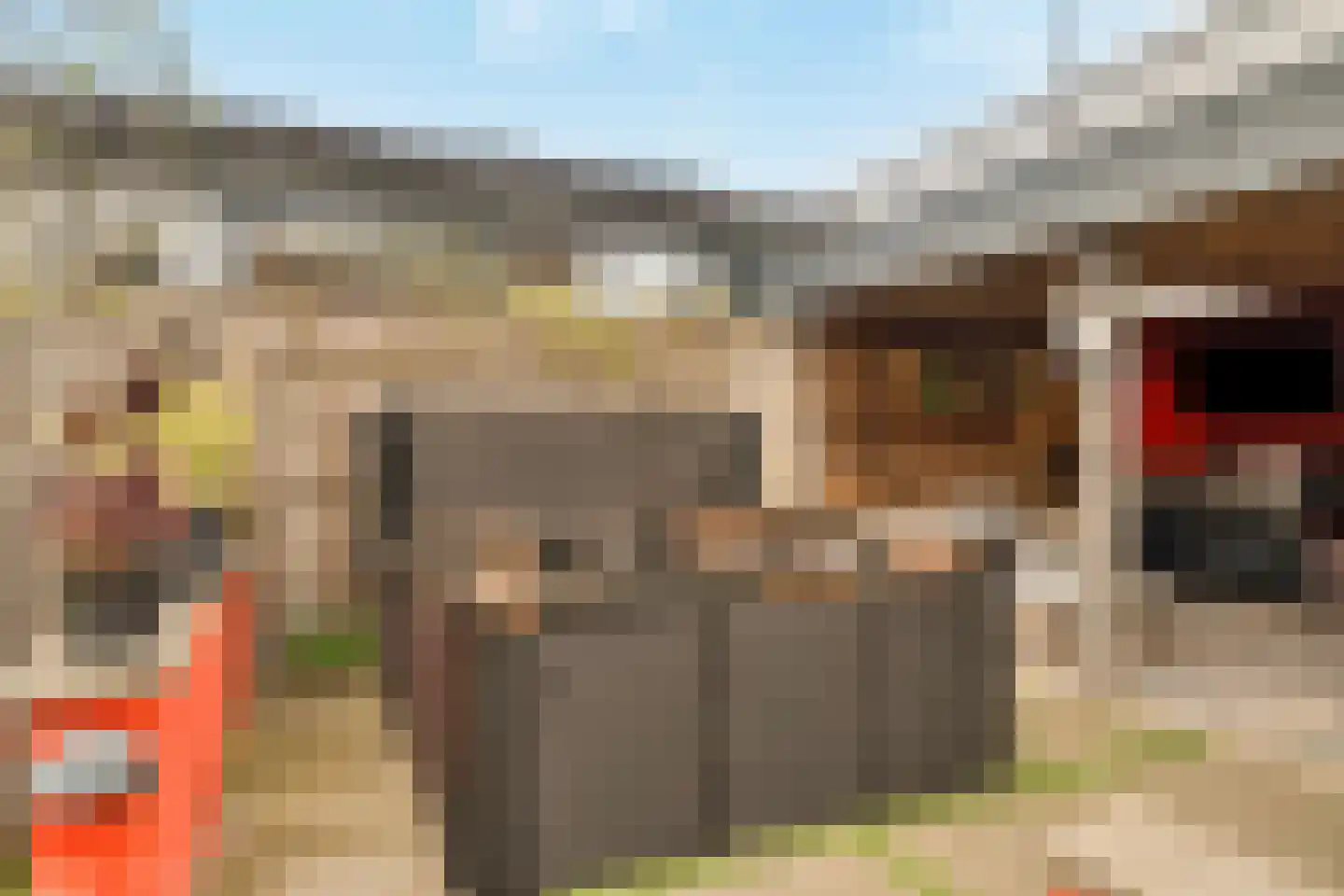 Papaverpad 3 Spijkenisse thumbnail 35
