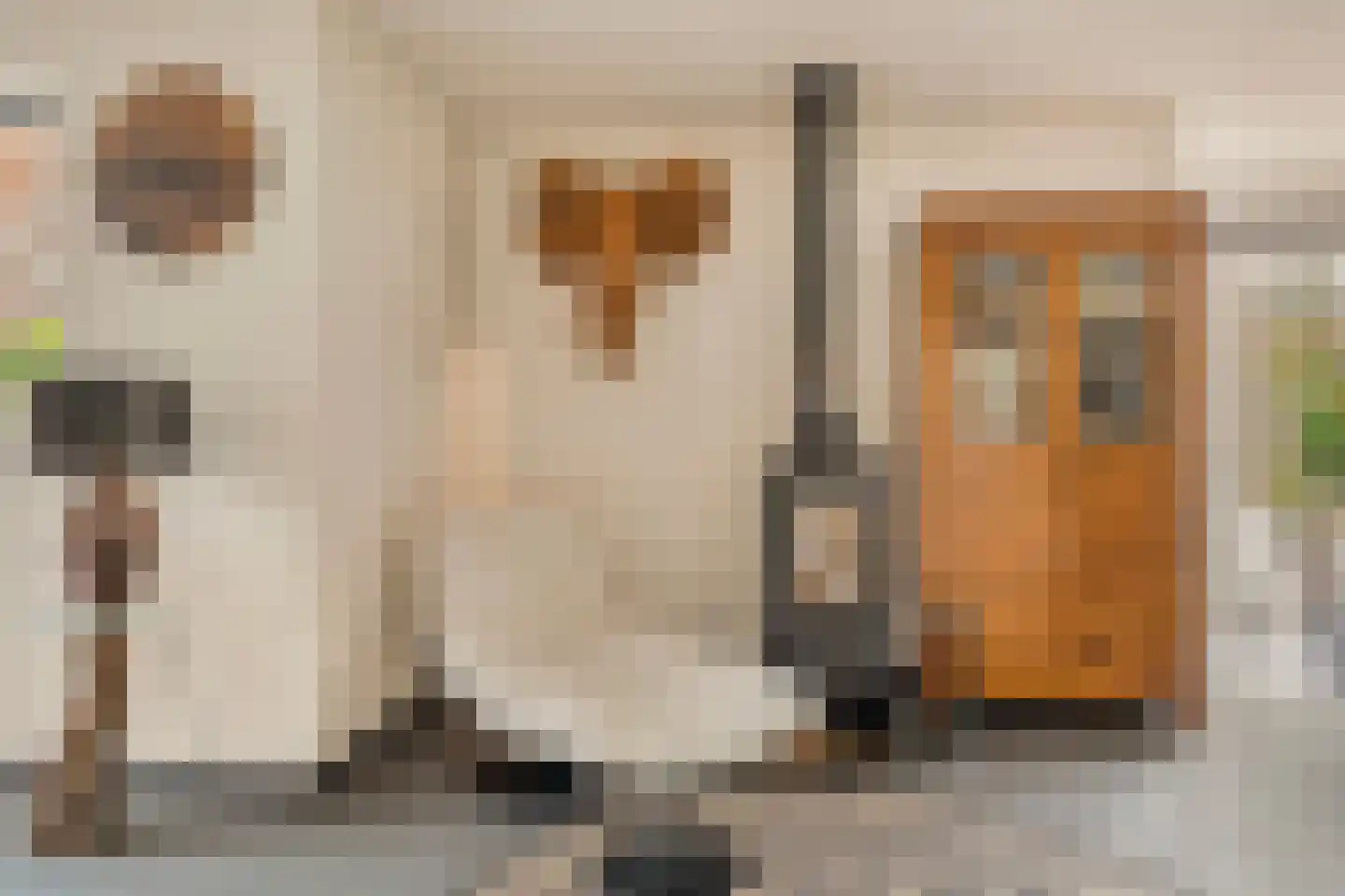 Papaverpad 3 Spijkenisse thumbnail 4