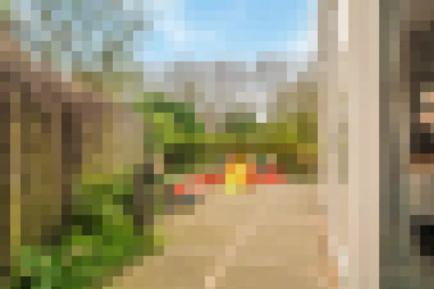 Papaverpad 3 Spijkenisse thumbnail 41