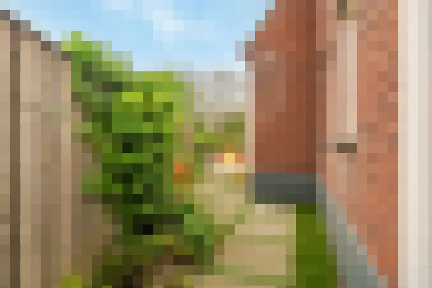 Papaverpad 3 Spijkenisse thumbnail 42