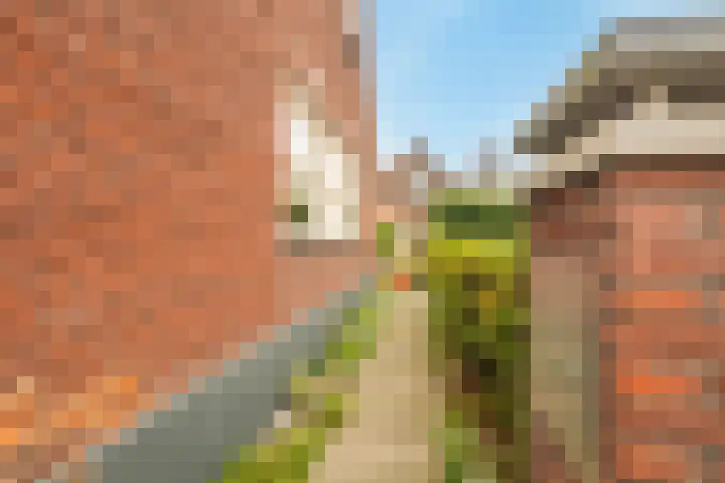 Papaverpad 3 Spijkenisse thumbnail 43