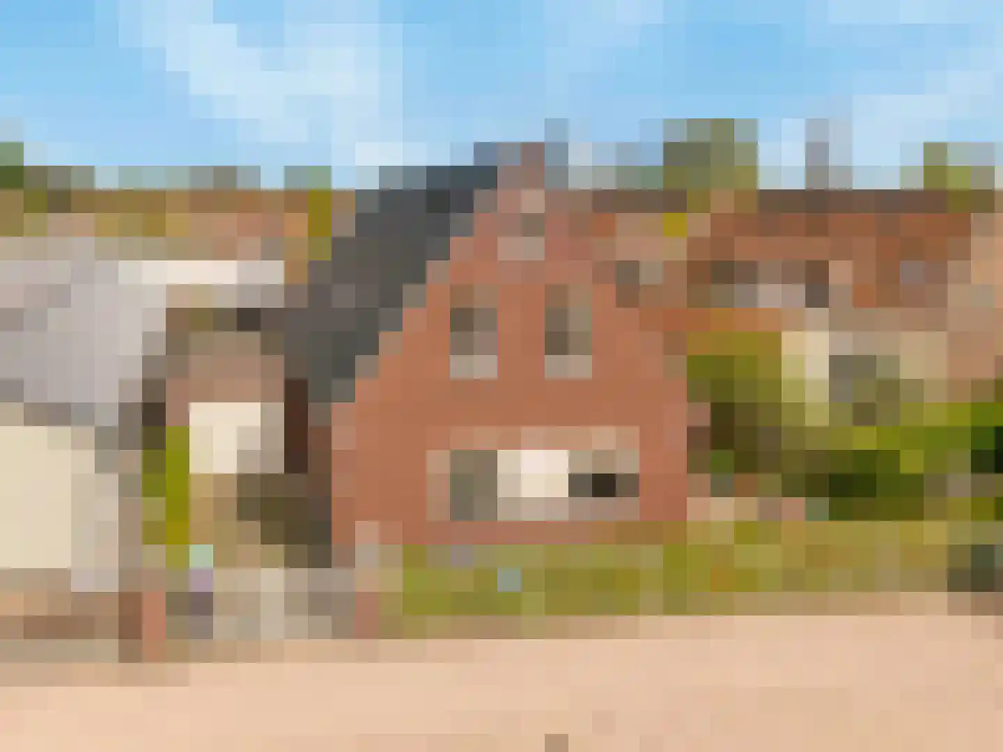 Papaverpad 3 Spijkenisse thumbnail 49