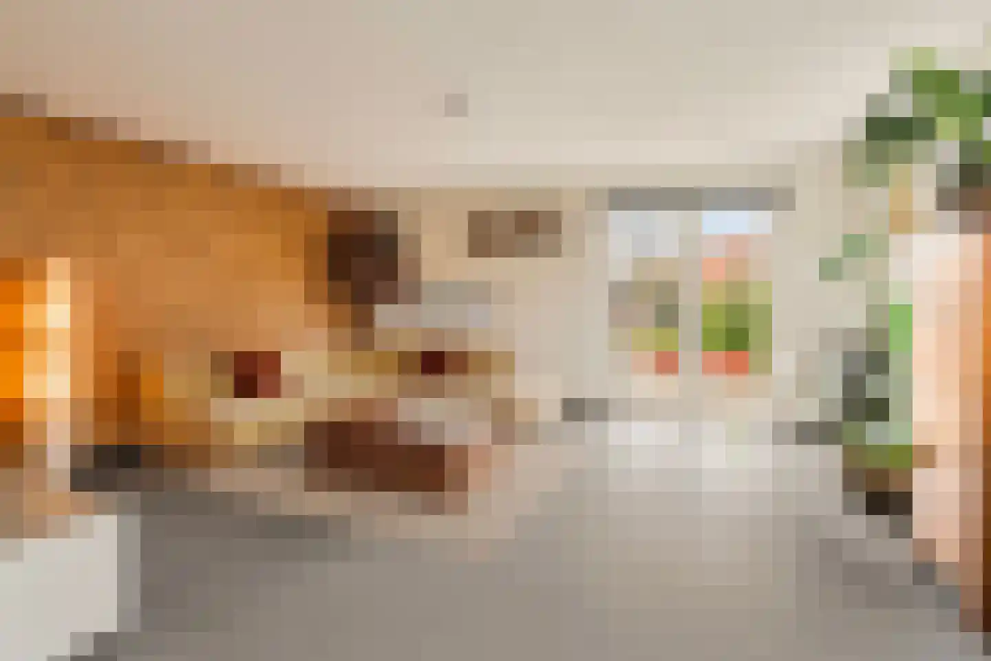 Papaverpad 3 Spijkenisse thumbnail 5