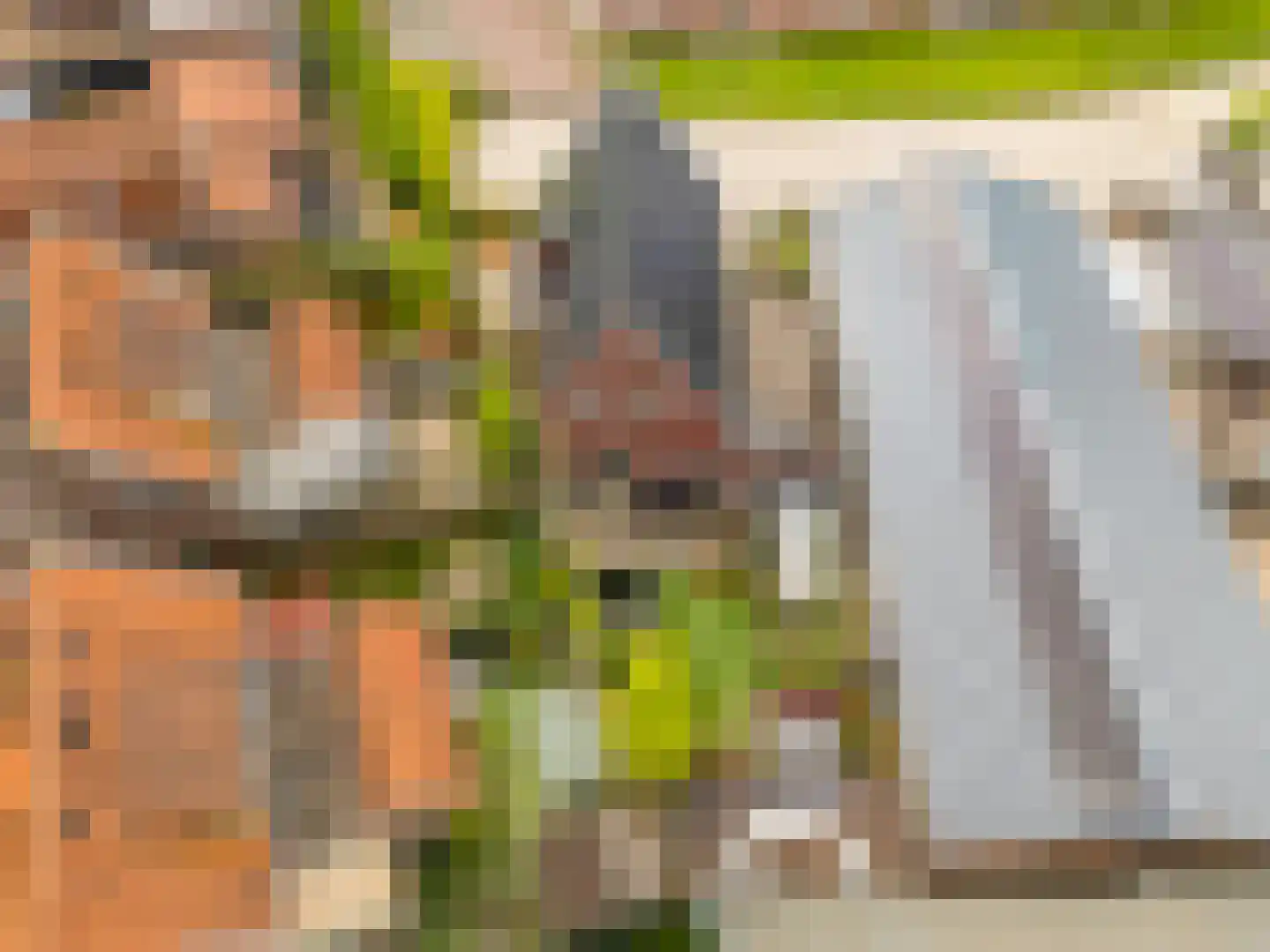 Papaverpad 3 Spijkenisse thumbnail 53