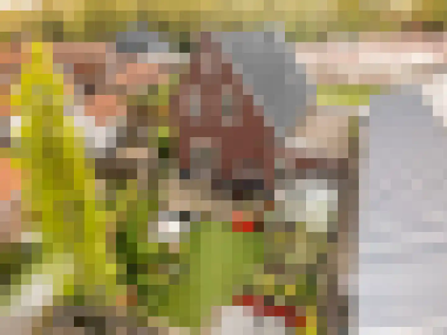 Papaverpad 3 Spijkenisse thumbnail 54