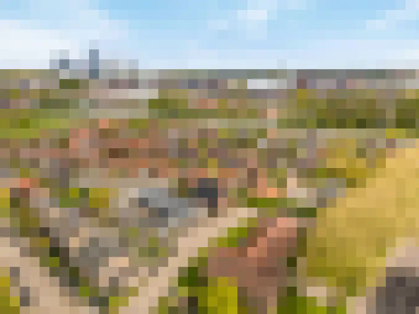 Papaverpad 3 Spijkenisse thumbnail 55