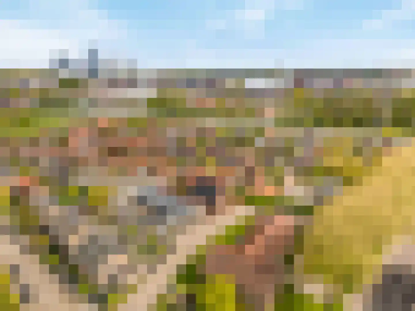 Papaverpad 3 Spijkenisse thumbnail 56