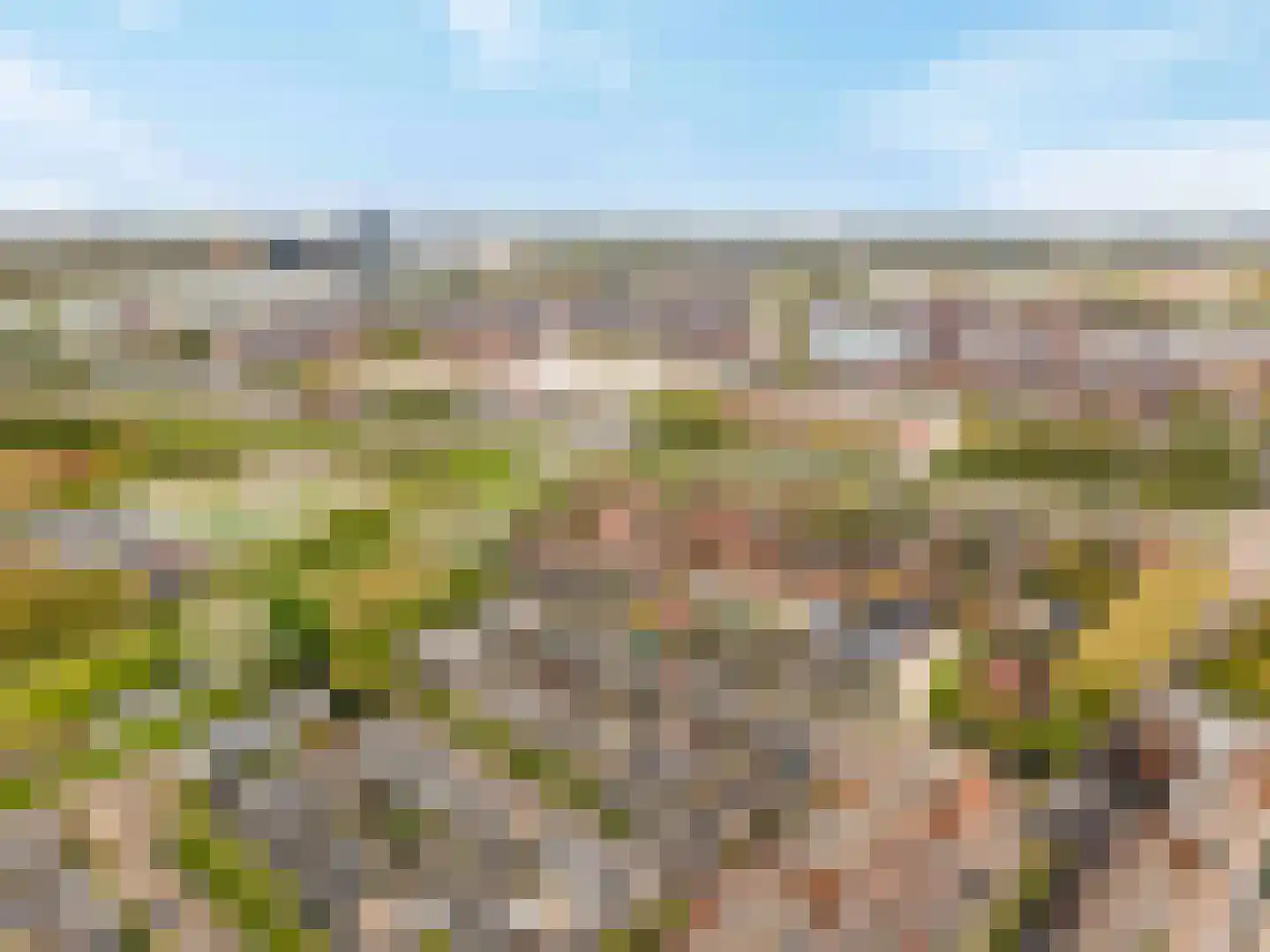 Papaverpad 3 Spijkenisse thumbnail 59