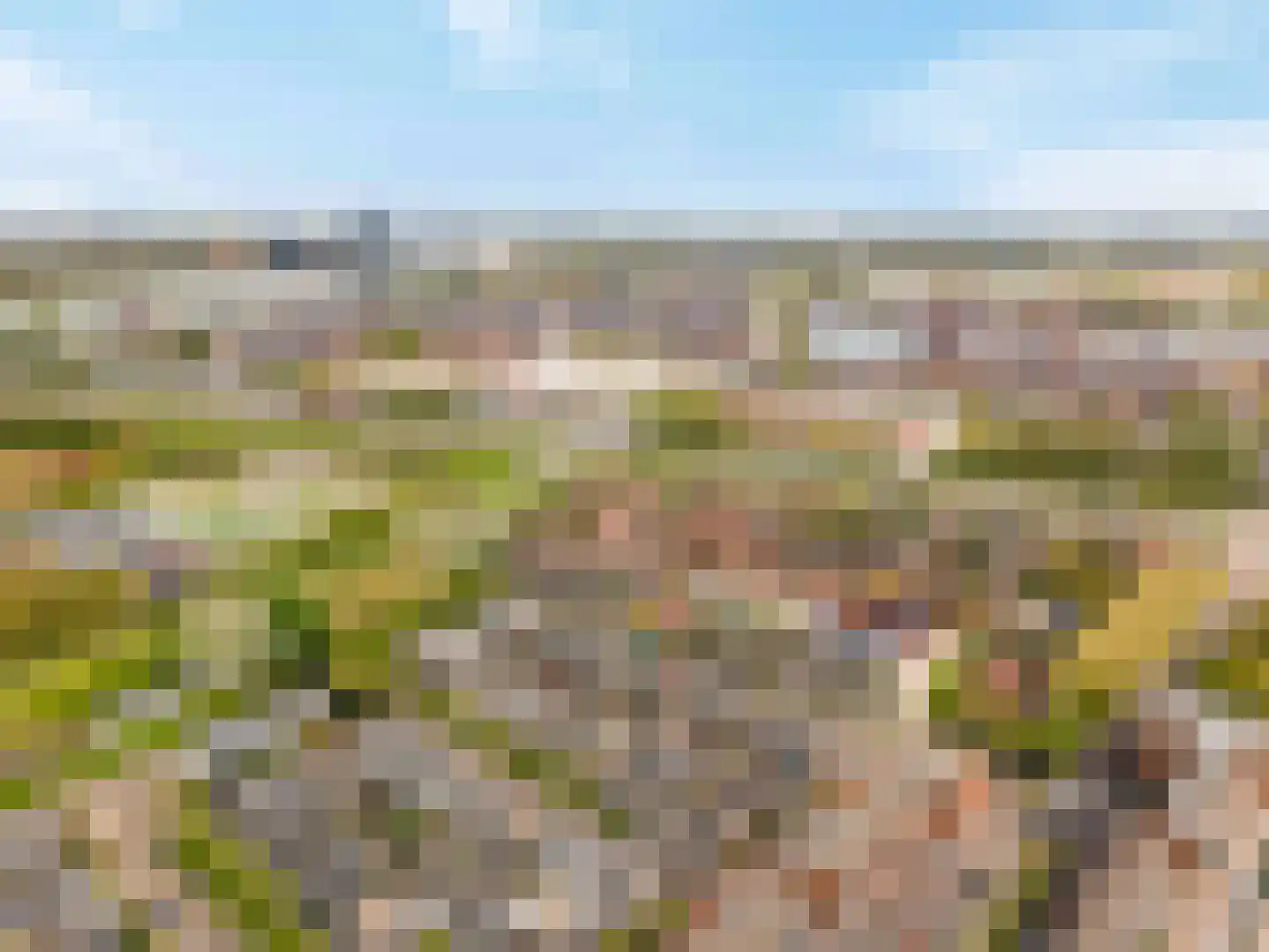 Papaverpad 3 Spijkenisse thumbnail 60