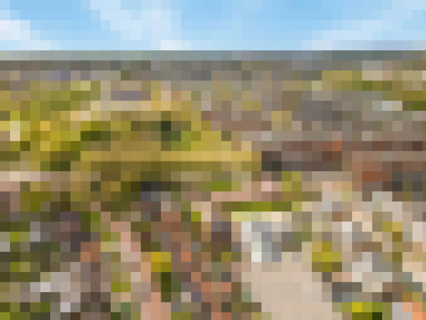Papaverpad 3 Spijkenisse thumbnail 62