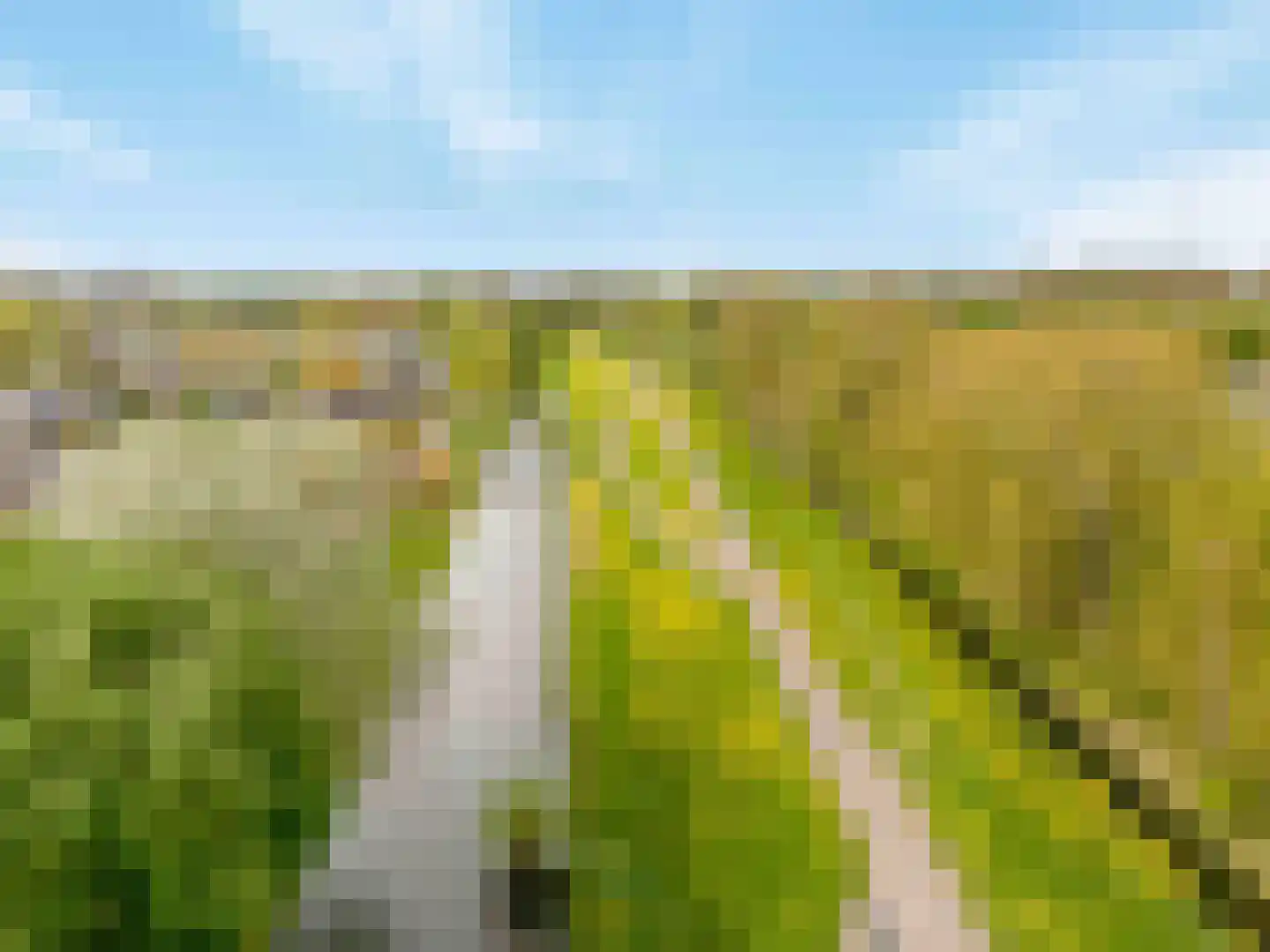 Papaverpad 3 Spijkenisse thumbnail 63