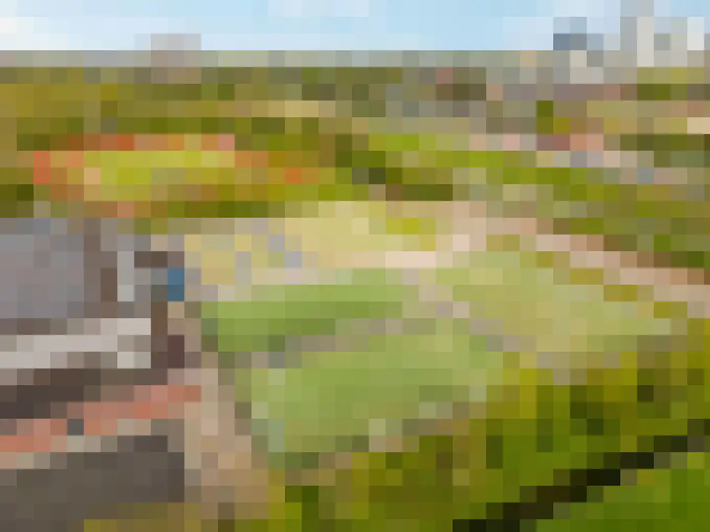 Papaverpad 3 Spijkenisse thumbnail 64