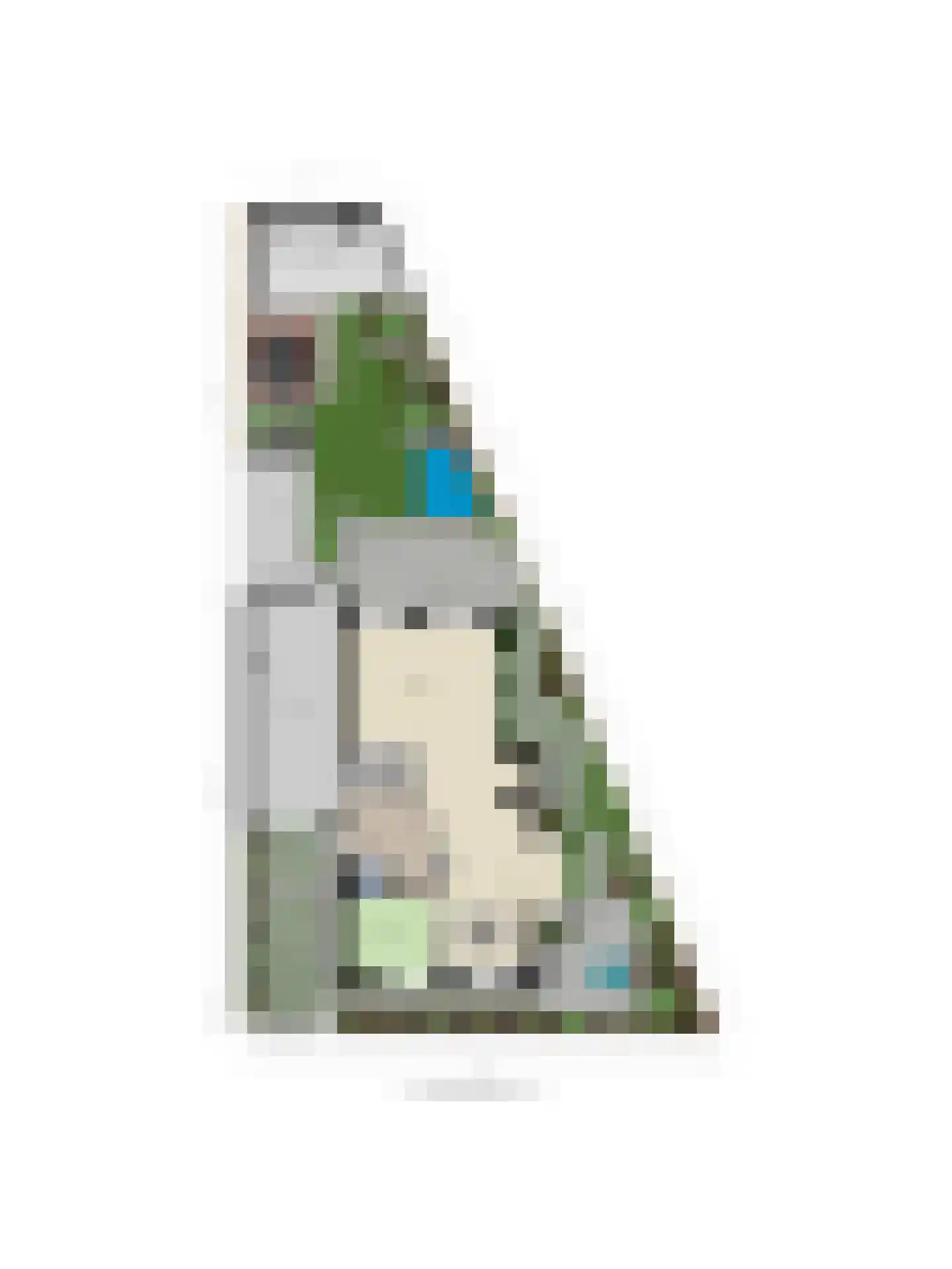 Papaverpad 3 Spijkenisse thumbnail 65