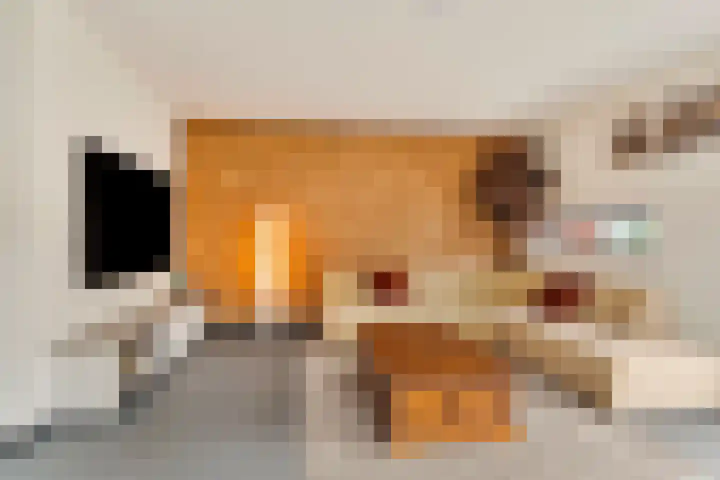 Papaverpad 3 Spijkenisse thumbnail 7