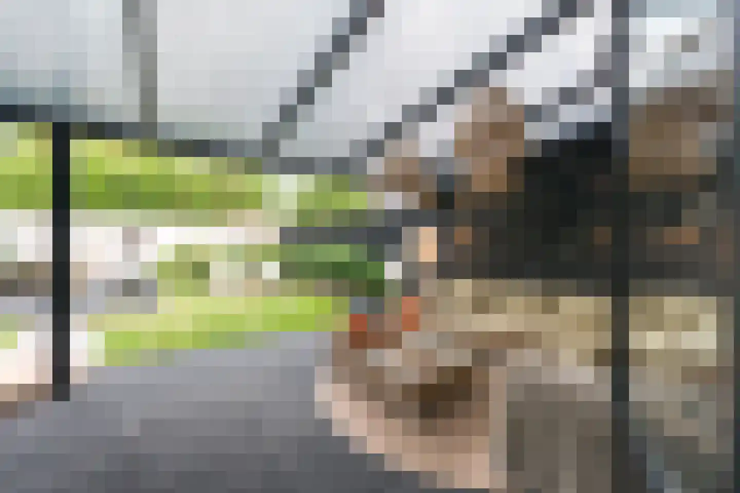 Papaverplein 110 Kerkrade thumbnail 23
