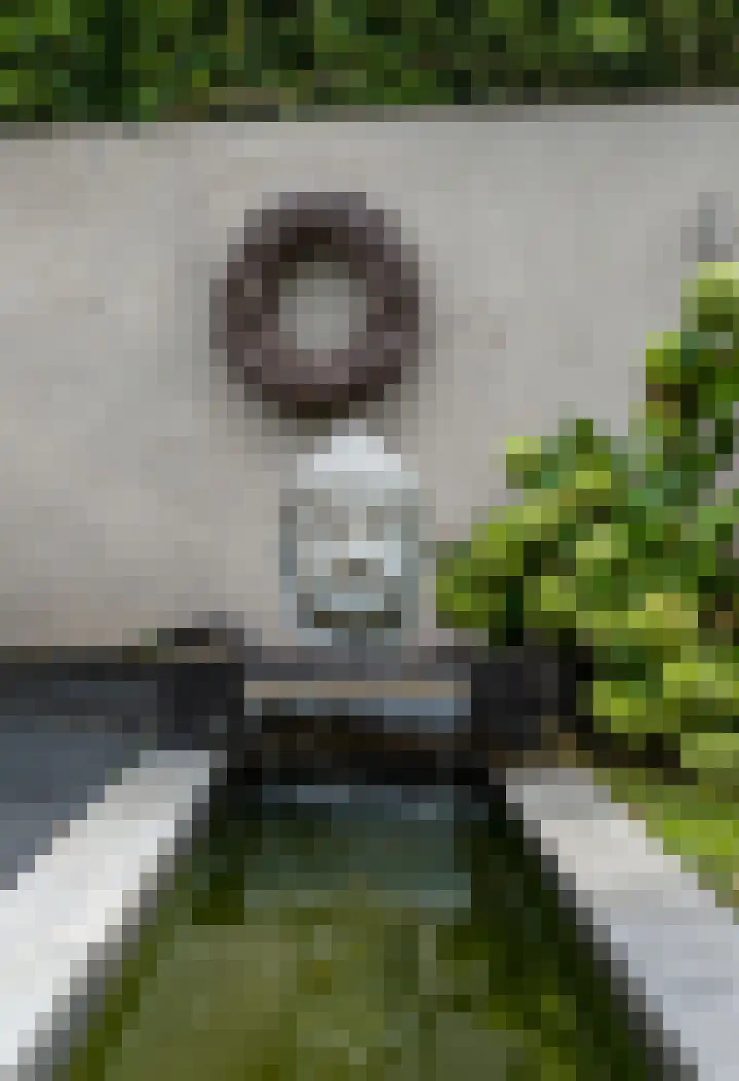 Papaverplein 110 Kerkrade thumbnail 30