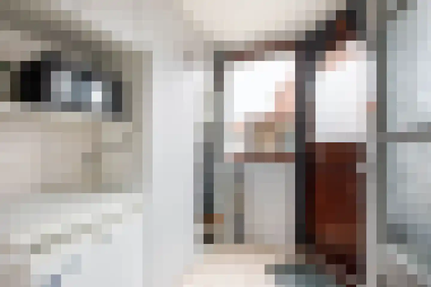 Papaverstraat 1 Stolwijk thumbnail 16