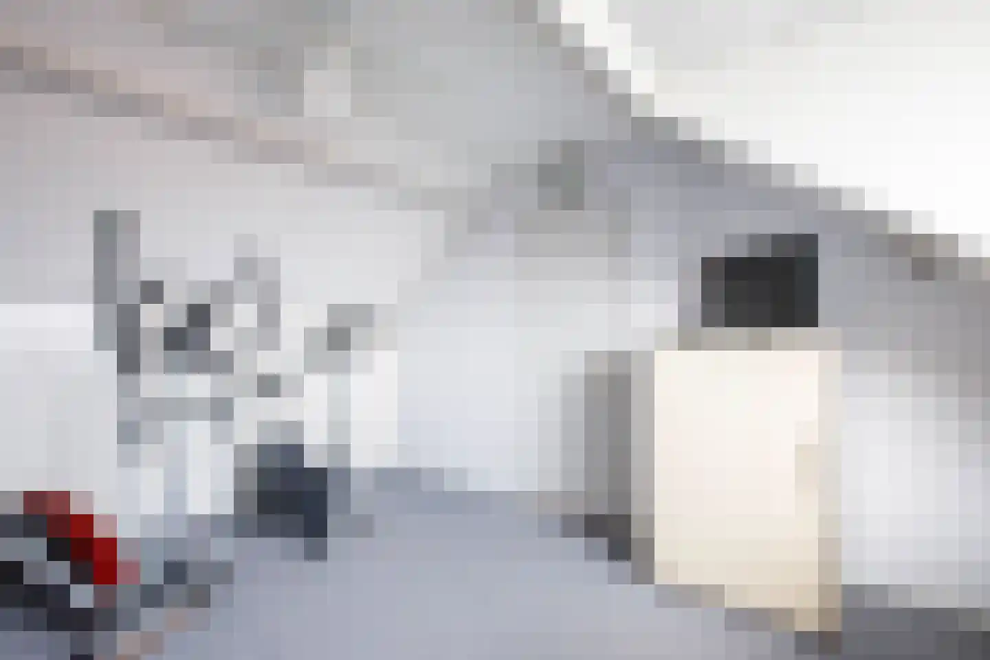 Papaverstraat 1 Stolwijk thumbnail 23