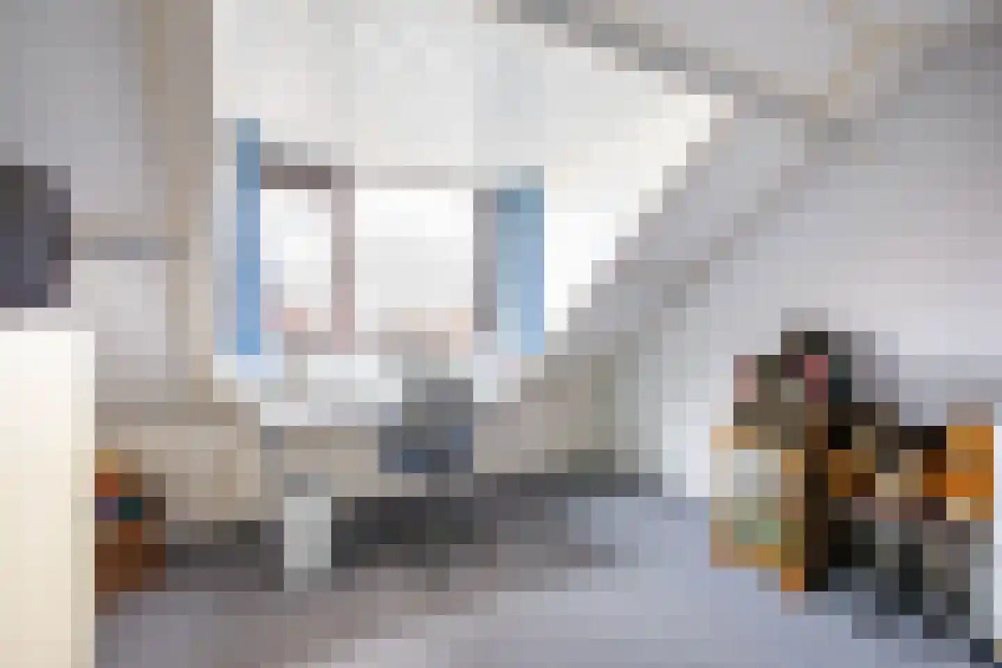 Papaverstraat 1 Stolwijk thumbnail 24