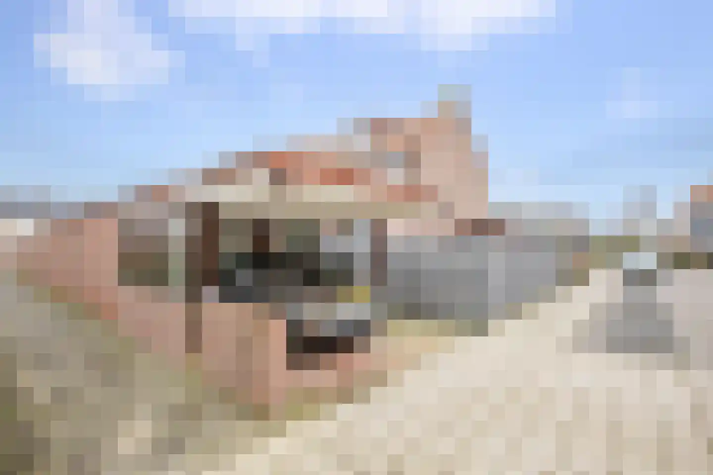 Papaverstraat 1 Stolwijk thumbnail 32