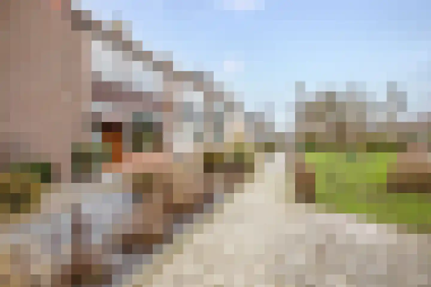 Papaverstraat 1 Stolwijk thumbnail 34