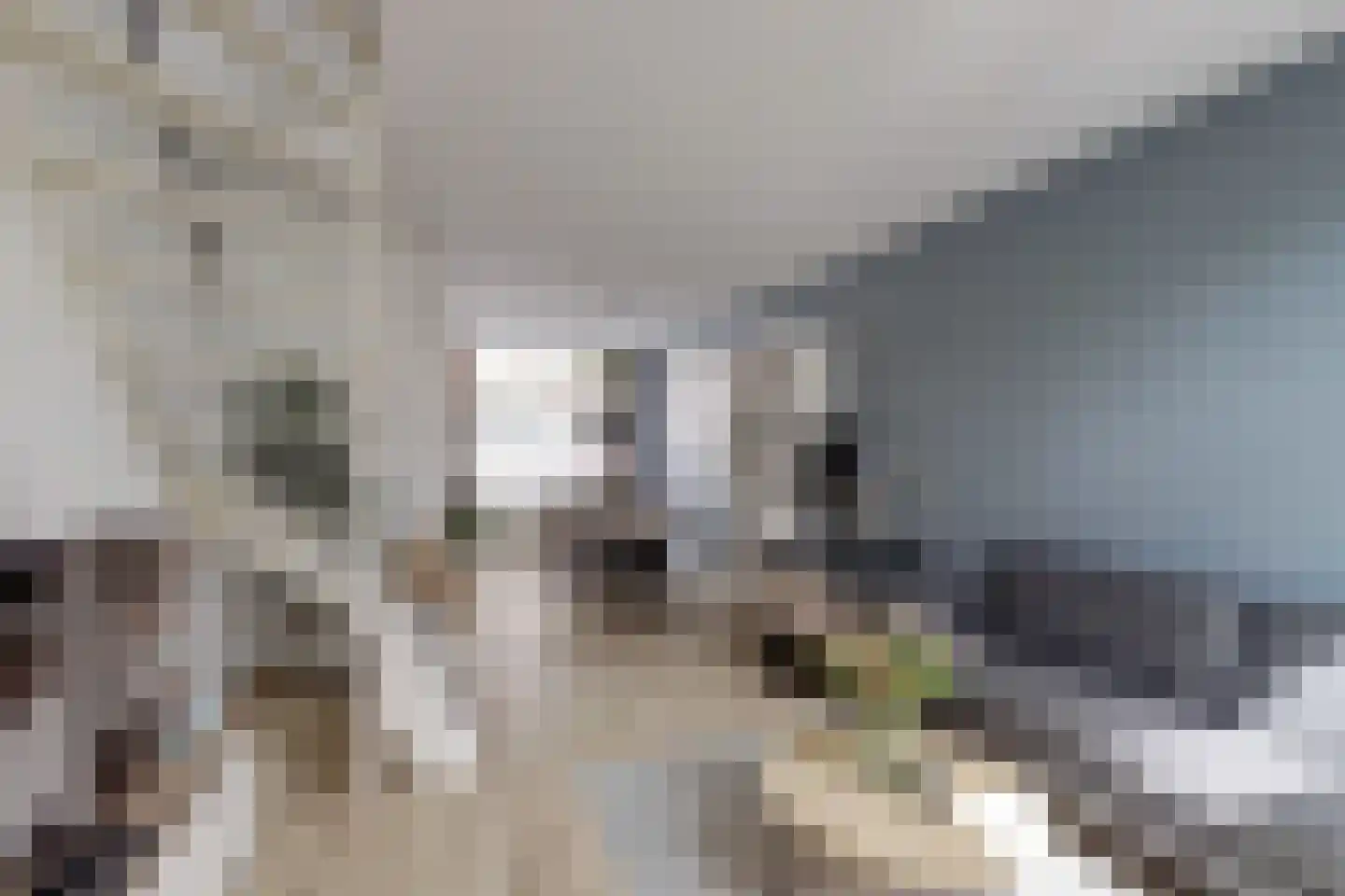 Papaverstraat 10 Utrecht thumbnail 10