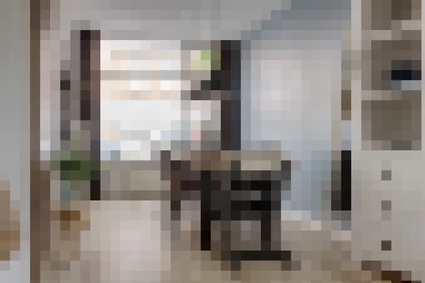 Papaverstraat 10 Utrecht thumbnail 11