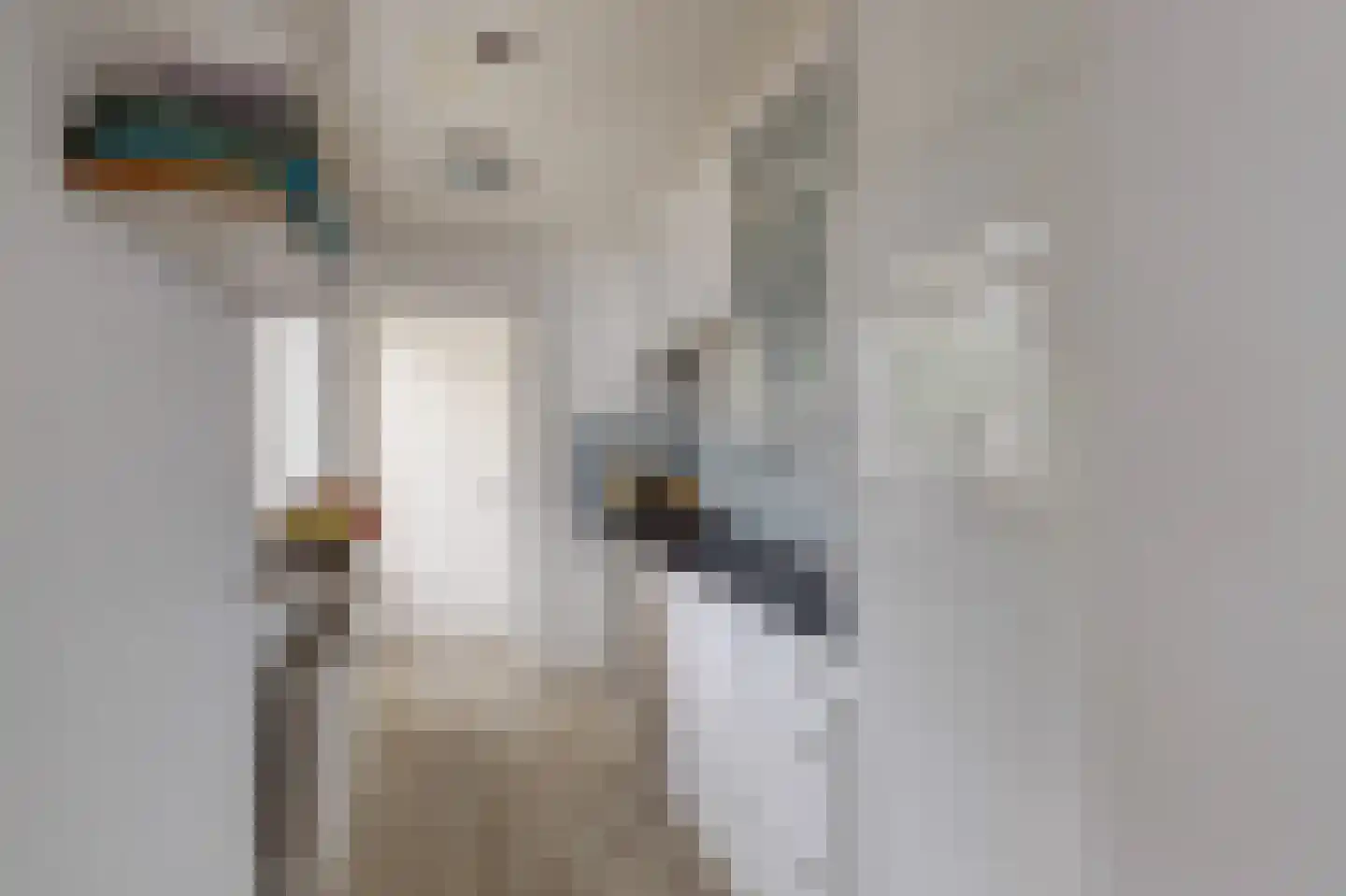 Papaverstraat 10 Utrecht thumbnail 12