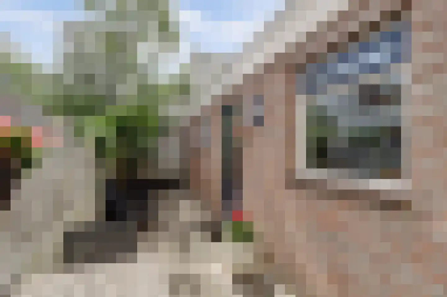 Papaverstraat 10 Utrecht thumbnail 29