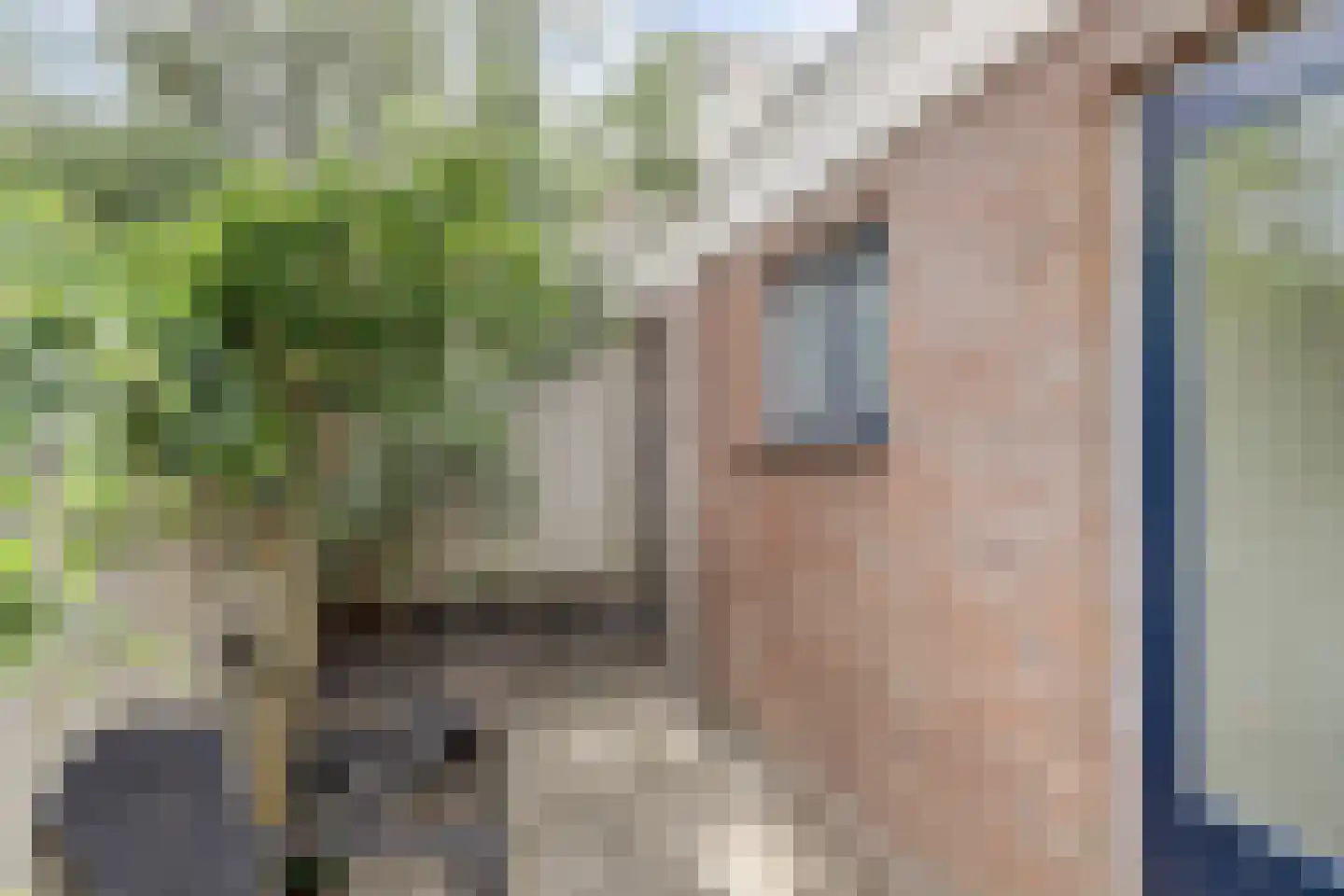 Papaverstraat 10 Utrecht thumbnail 30
