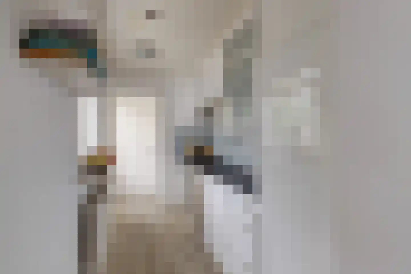 Papaverstraat 10 Utrecht thumbnail 4