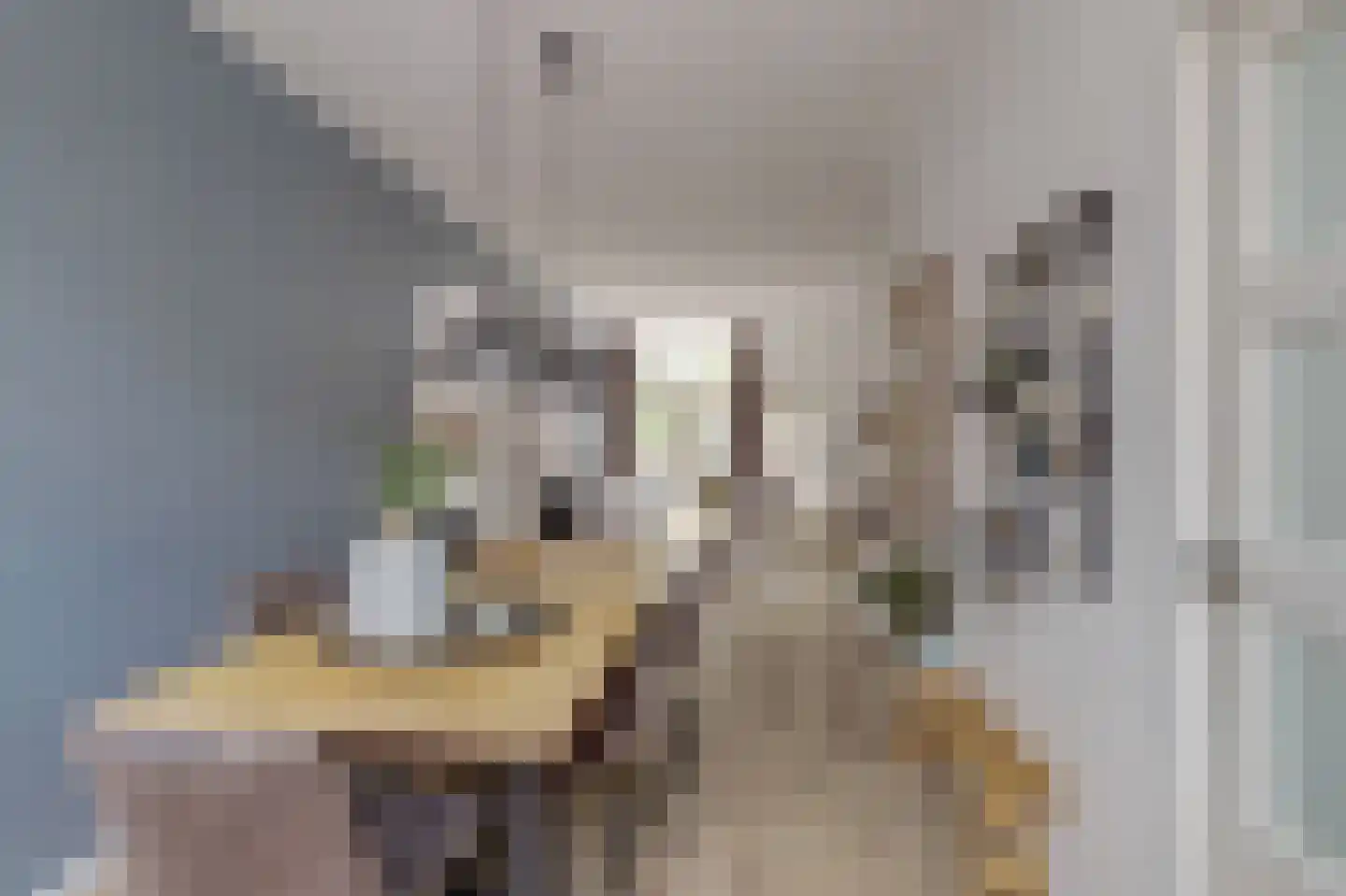 Papaverstraat 10 Utrecht thumbnail 6