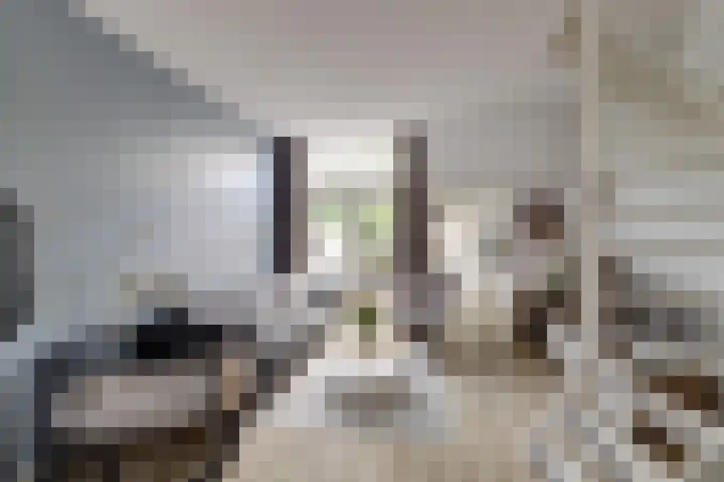 Papaverstraat 10 Utrecht thumbnail 7